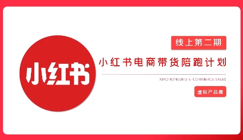 2025小红书虚拟电商实战课，从0到1打造无货源店铺，AI+爆款笔记轻松变现-星禾网创星球