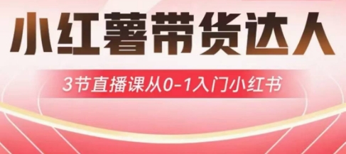 小红薯达人带货启航计划，3节直播课从0-1入门小红书-星禾网创星球