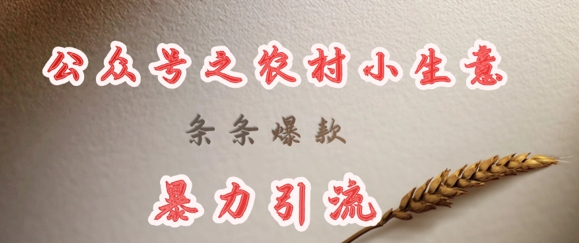 deepseek写农村小项目，条条爆款，暴力引流-星禾网创星球