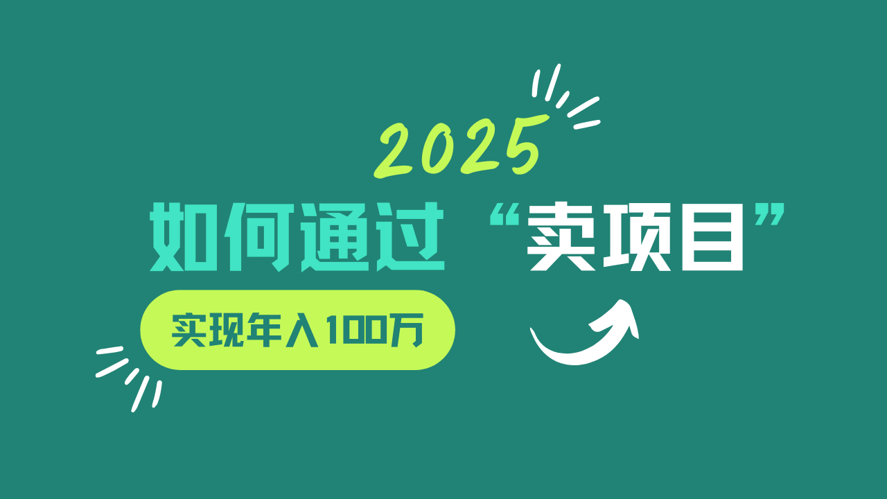 2025年如何通过“卖项目”实现年入100w-星禾网创星球