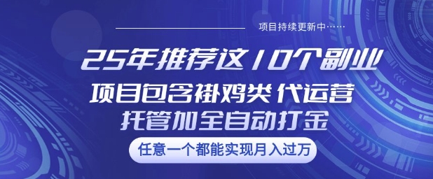 25年推荐这10个副业项目包含褂鸡类、代运营托管类、全自动打金类【揭秘】-星禾网创星球