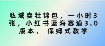 私域卖壮锦包，一小时3张，小红书蓝海赛道3.0版本， 保姆式教学-星禾网创星球