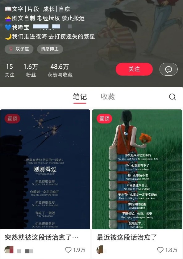 小红书治愈文案图文笔记，零门槛，一分钟制作轻松制作爆款作品月入万元-星禾网创星球