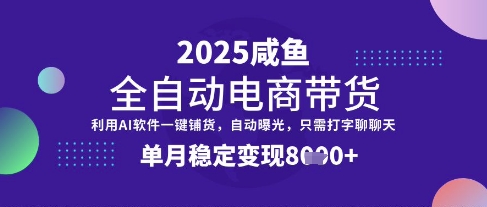全网首发【闲鱼全自动电商带货】三年磨一剑，一朝露锋芒，单月稳定变现8k+【揭秘】-星禾网创星球