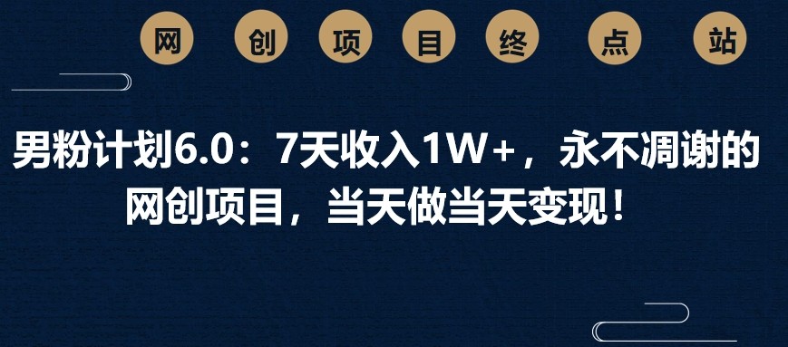 男粉计划6.0：7天收入1W+，永不凋谢的网创项目，当天做当天变现！-星禾网创星球