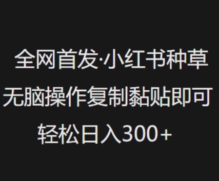 全网首发，小红书种草无脑操作，复制黏贴即可，轻松日入3张-星禾网创星球