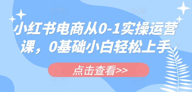 小红书电商从0-1实操运营课，0基础小白轻松上手-星禾网创星球