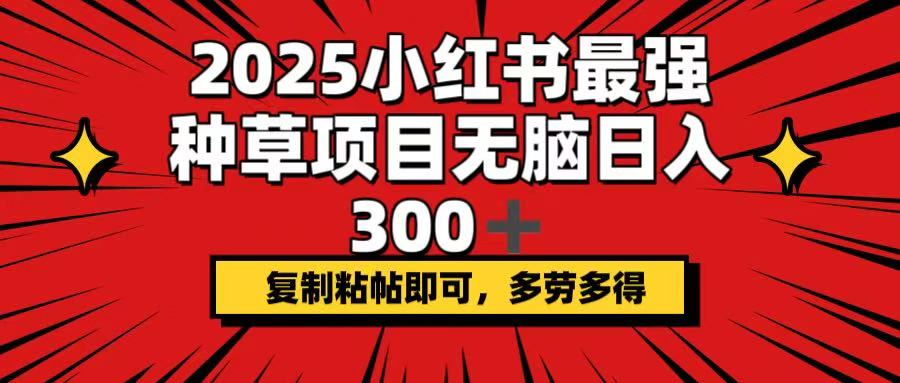 2025小红书最强种草项目，无脑日入300+，复制粘帖即可，多劳多得-星禾网创星球