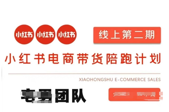 小红书电商带货课2期，月利润20个的小红书电商的有货源，无货源，虚拟产品，付费投流等整套玩法-星禾网创星球