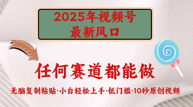 2025年视频号新风口，低门槛只需要无脑执行-星禾网创星球