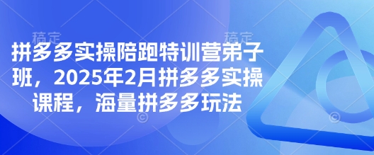 拼多多实操陪跑特训营弟子班，2025年2月拼多多实操课程，海量拼多多玩法-星禾网创星球
