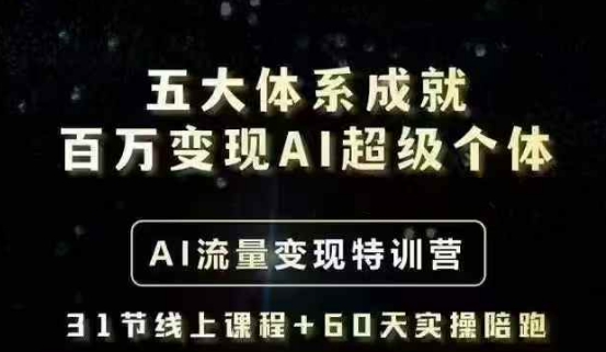 五大体系成就百万变现AI超级个体- AI流量变现特训营，一步一步教你一个人怎么年入百W-星禾网创星球