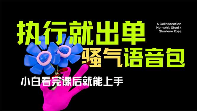 爆火全网的开车导航骚气语音包,只要执行就出单，小白看完课程就能实操...-星禾网创星球