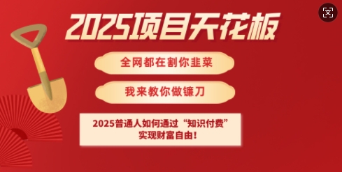 2025项目天花板普通人如何通过知识付费，实现财F自由【揭秘】-星禾网创星球