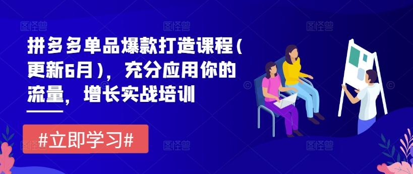 拼多多单品爆款打造课程(更新6月)，充分应用你的流量，增长实战培训-星禾网创星球