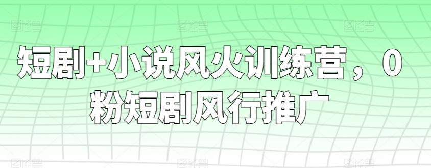 短剧+小说风火训练营，0粉短剧风行推广-星禾网创星球