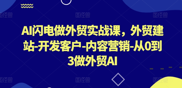 AI闪电做外贸实战课，​外贸建站-开发客户-内容营销-从0到3做外贸AI(更新)-星禾网创星球