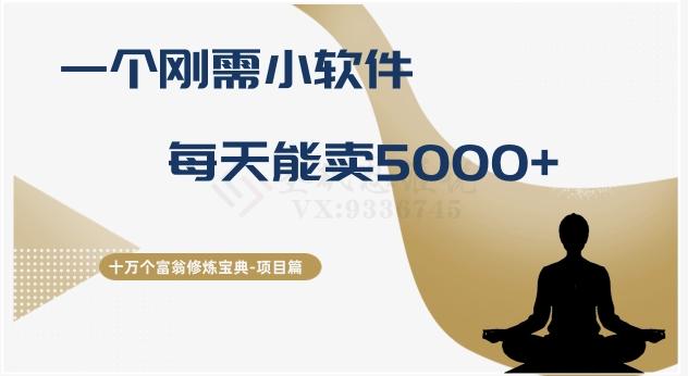 十万个富翁修炼宝典之17.一个刚需小软件，每天能卖5000+-星禾网创星球