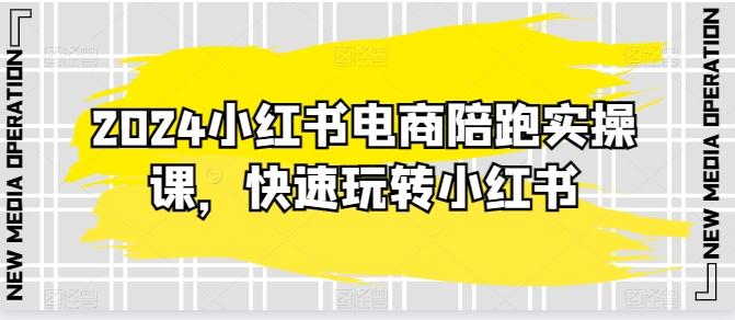 2024小红书电商陪跑实操课，快速玩转小红书，超过20节精细化课程-星禾网创星球