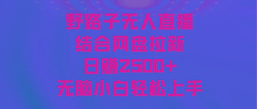 无人直播野路子结合网盘拉新，日赚2500+多平台变现，小白无脑轻松上手操作-星禾网创星球