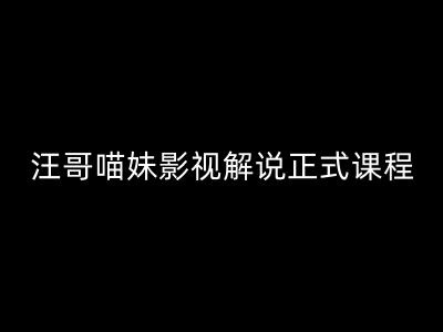 汪哥影视解说正式课程：剪映/PR教学/视解说剪辑5大黄金法则/全流程剪辑7把利器等等-星禾网创星球