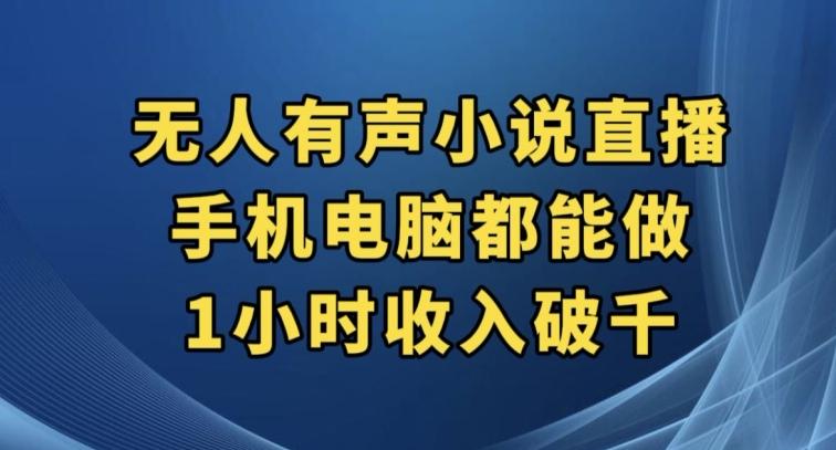抖音无人有声小说直播，手机电脑都能做，1小时收入破千【揭秘】-星禾网创星球