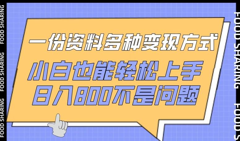 一份资料多种变现方式，小白也能轻松上手，日入800不是问题【揭秘】-星禾网创星球
