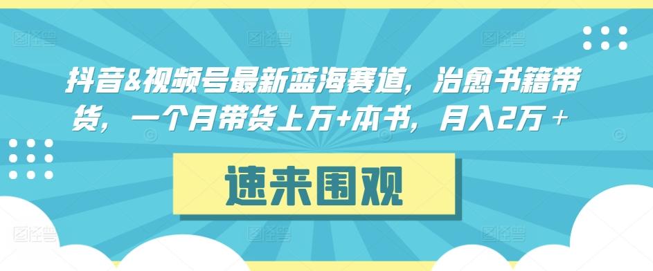 抖音&视频号最新蓝海赛道，治愈书籍带货，一个月带货上万+本书，月入2万＋【揭秘】-星禾网创星球