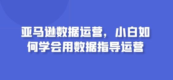 亚马逊数据运营，小白如何学会用数据指导运营-星禾网创星球