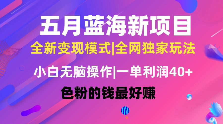 五月蓝海项目全新玩法，小白无脑操作，一天几分钟，矩阵操作，月入4万+-星禾网创星球