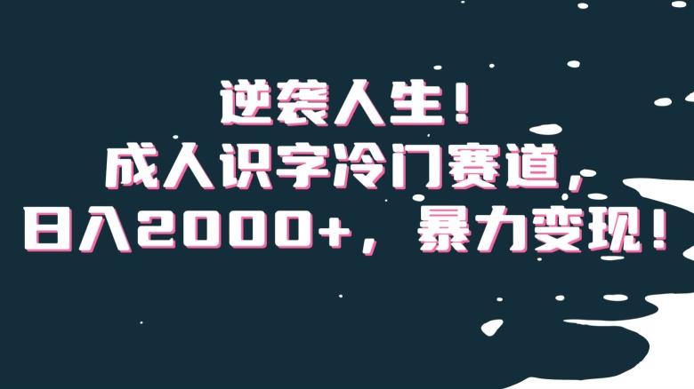 逆袭人生！成人识字冷门赛道，日入2000+，暴力变现！【揭秘】-星禾网创星球