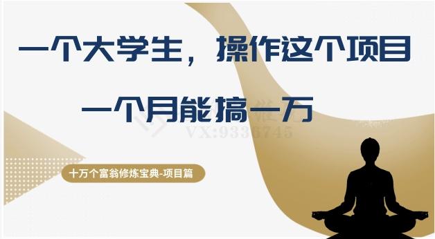 十万个富翁修炼宝典之4.一个大学生操作这个项目，一个月能搞一万-星禾网创星球