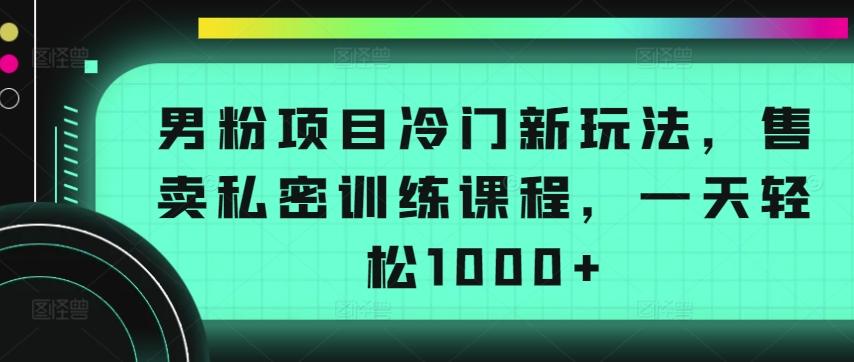 男粉项目冷门新玩法，售卖私密训练课程，一天轻松1000+【揭秘】-星禾网创星球