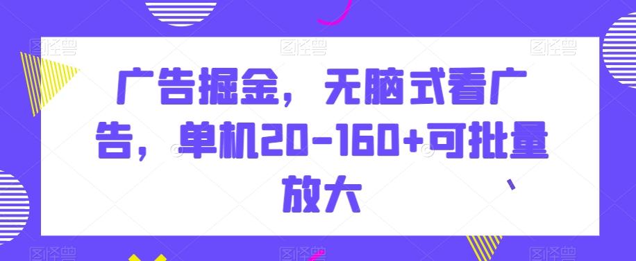 广告掘金，无脑式看广告，单机20-160+可批量放大【揭秘】-星禾网创星球