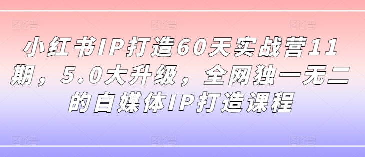 小红书IP打造60天实战营11期，5.0大升级，全网独一无二的自媒体IP打造课程-星禾网创星球