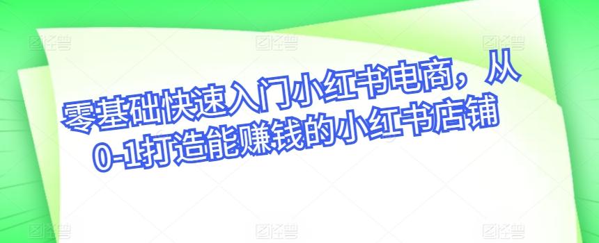 零基础快速入门小红书电商，从0-1打造能赚钱的小红书店铺-星禾网创星球