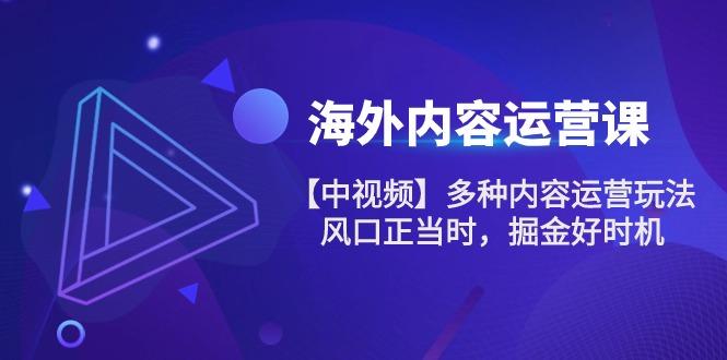 海外内容 运营课【中视频】多种内容运营玩法 风口正当时 掘金好时机-101节-星禾网创星球