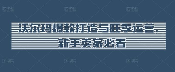 沃尔玛爆款打造与旺季运营，新手卖家必看-星禾网创星球