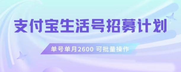 支付宝生活号作者招募计划，单号单月2600，可批量去做，工作室一人一个月轻松1w+【揭秘】-星禾网创星球