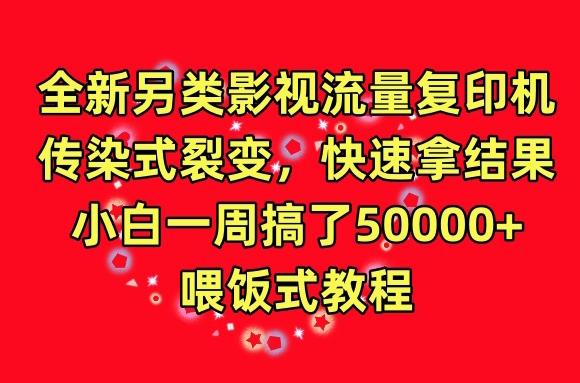 全新另类影视流量复印机，传染式裂变，快速拿结果，小白一周搞了50000+，喂饭式教程【揭秘】-星禾网创星球