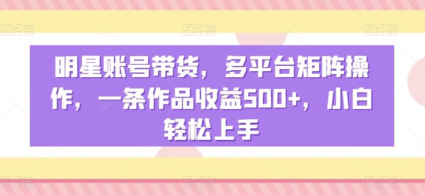 明星账号带货，多平台矩阵操作，一条作品收益500+，小白轻松上手【揭秘】-星禾网创星球