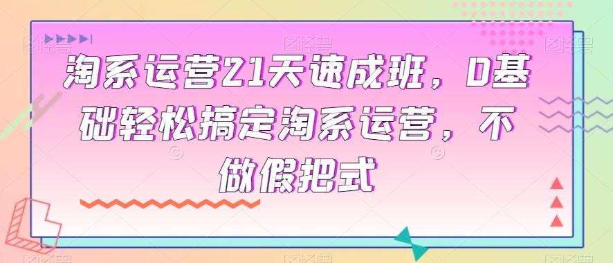 淘系运营21天速成班，0基础轻松搞定淘系运营，不做假把式-星禾网创星球