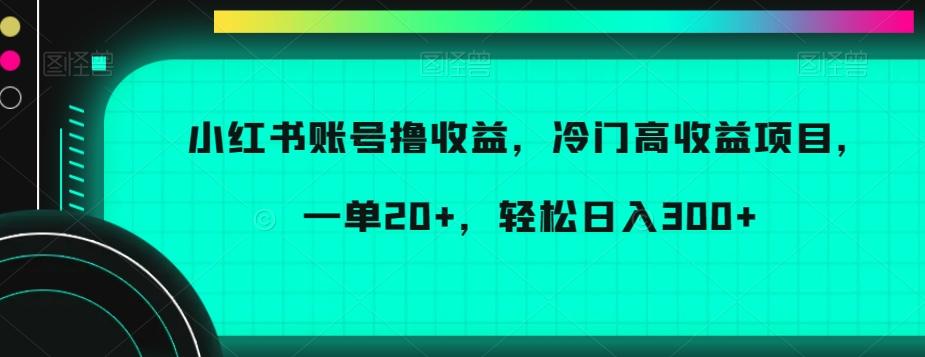 小红书账号撸收益，冷门高收益项目，一单20+，轻松日入300+【揭秘】-星禾网创星球