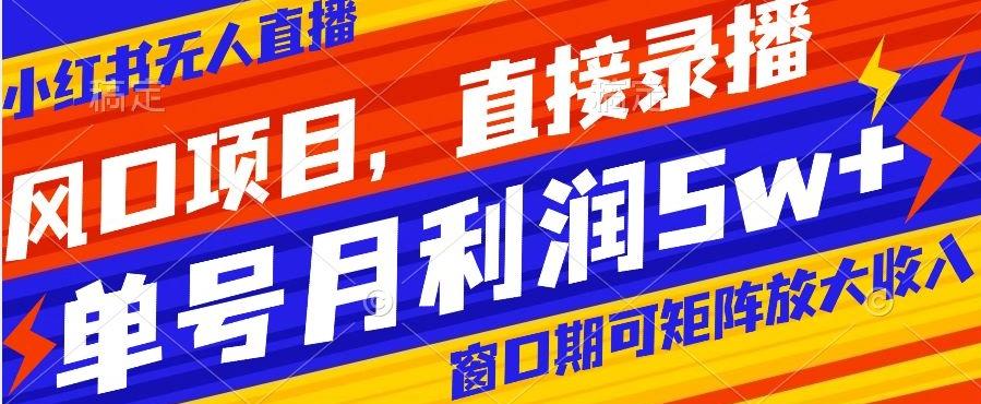 风口项目，小红书无人直播带货，直接录播，可矩阵，月入5w+【揭秘】-星禾网创星球