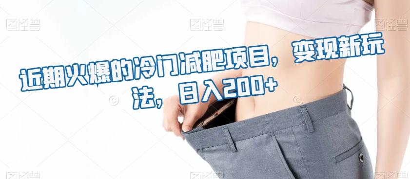 近期火爆的冷门减肥项目，变现新玩法，日入200+-星禾网创星球