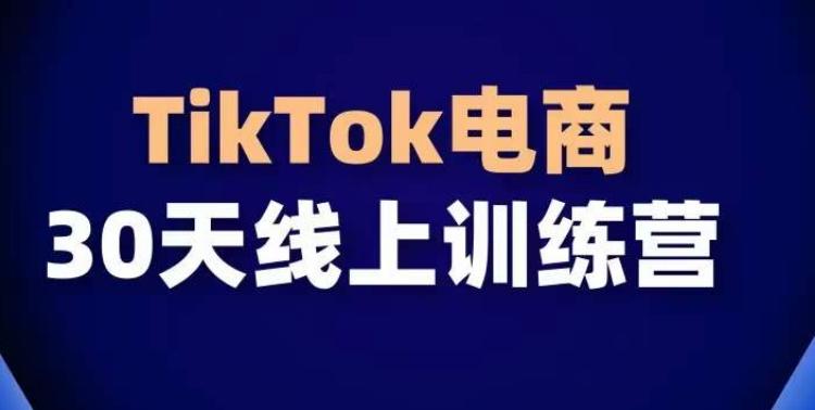 TikTok电商带货30天线上课，不可错过的全球流量洼地！-星禾网创星球