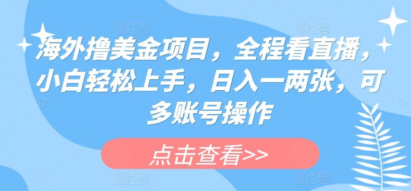 海外撸美金项目，全程看直播，小白轻松上手，日入一两张，可多账号操作【揭秘】-星禾网创星球
