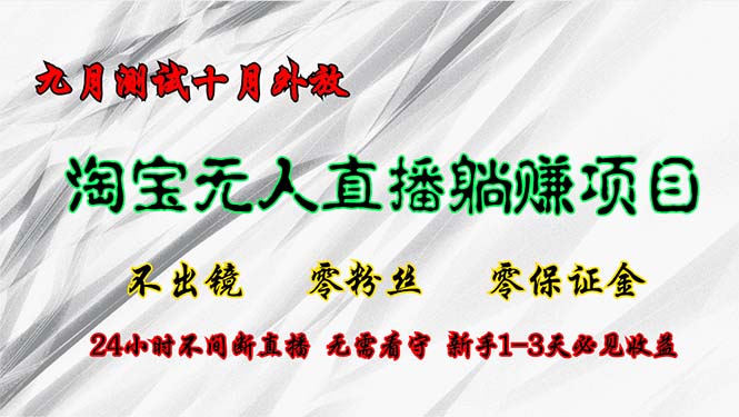 淘宝无人直播最新玩法，九月测试十月外放，不出镜零粉丝零保证金，24小...-星禾网创星球