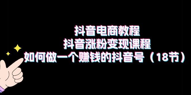 抖音电商教程：抖音涨粉变现课程：如何做一个赚钱的抖音号(18节-星禾网创星球