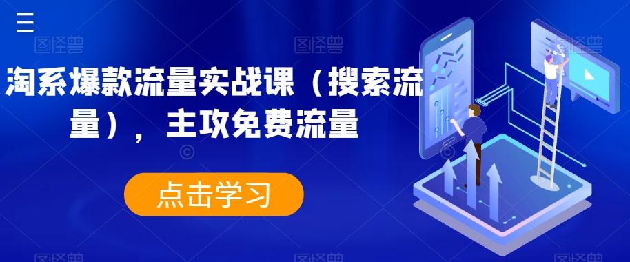 淘系爆款流量实战课（搜索流量），主攻免费流量-星禾网创星球